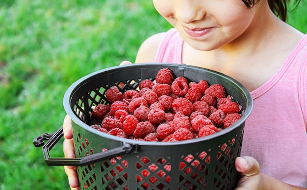 Enfant tenant des framboises dans ses mains.mise au point sélective.nourriture