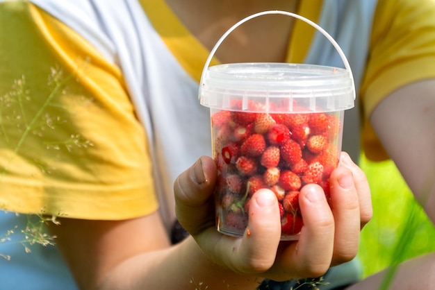 Enfant tenant un petit seau en plastique rempli de fraises sauvages rouges mûres en gros plan