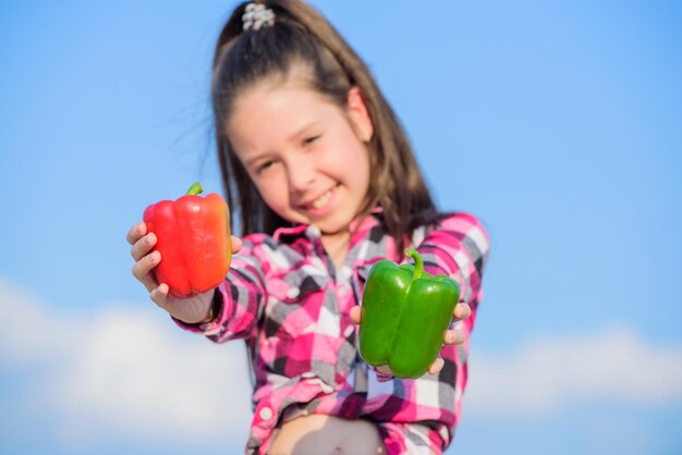 Enfant tenant la récolte de poivrons mûrs Choisissez quelle fille enfant tient le fond de ciel de poivrons rouges et verts Concept de décision alternative