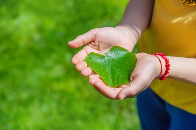 L'enfant tient un arbre dans ses mains Mise au point sélective