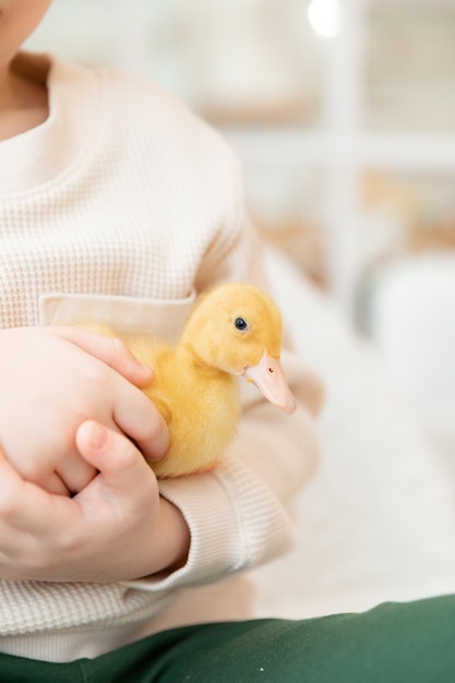 Un enfant tient un canard dans ses mains.