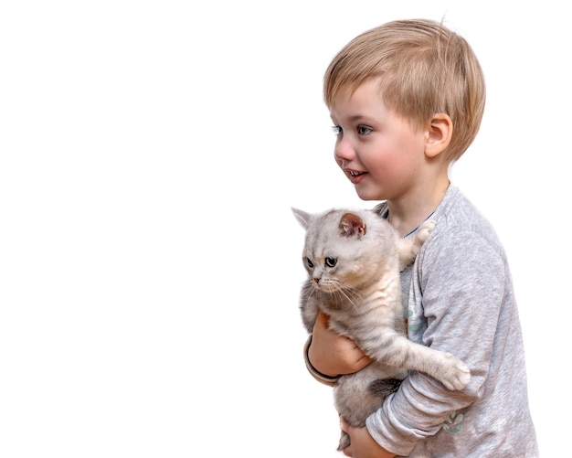 L'enfant tient un chaton gris dans ses bras