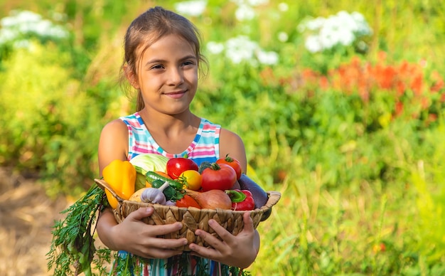 L'enfant tient des légumes dans ses mains dans le jardin. Mise au point sélective. Enfant.