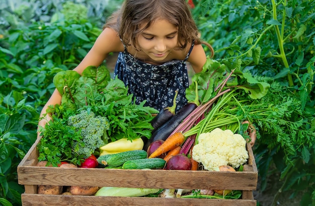 L'enfant tient des légumes dans ses mains dans le jardin. Mise au point sélective. La nature.