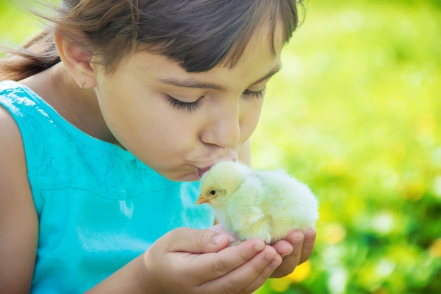 L&#39;enfant tient un poulet dans ses mains. Mise au point sélective.