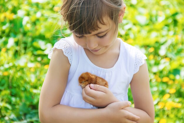 L&#39;enfant tient un poulet dans ses mains. Mise au point sélective.