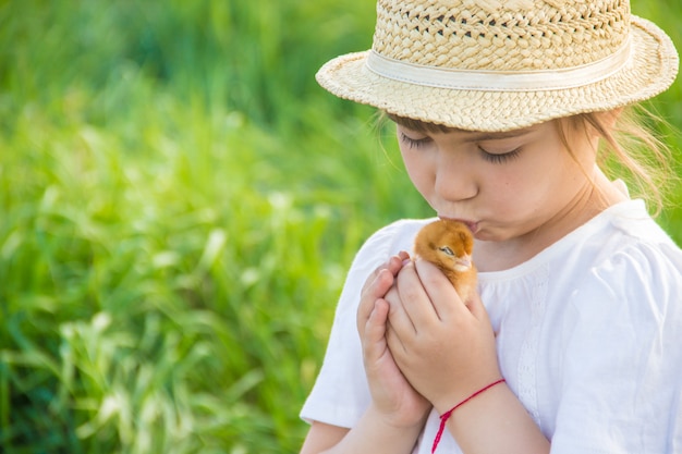 L&#39;enfant tient un poulet dans ses mains. Mise au point sélective.