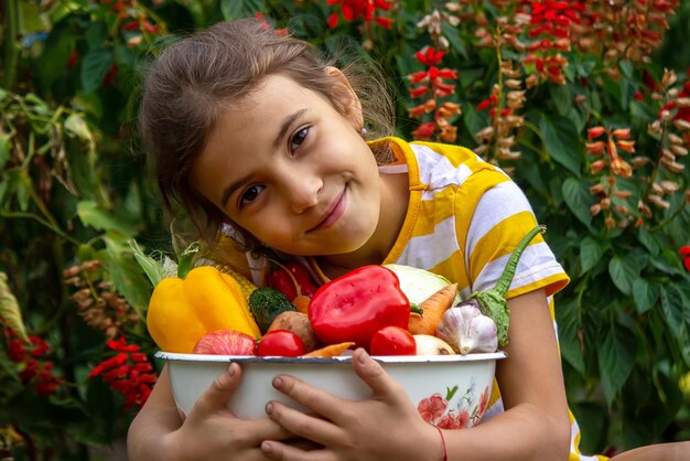 Un enfant tient une récolte de légumes dans ses mains Mise au point sélective