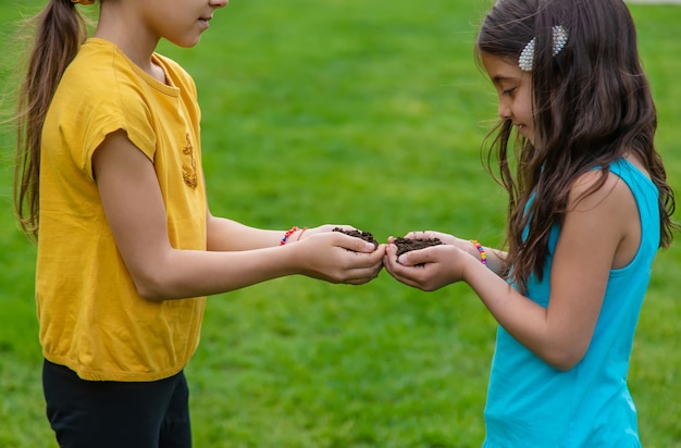 L'enfant tient le sol dans ses mains Mise au point sélective