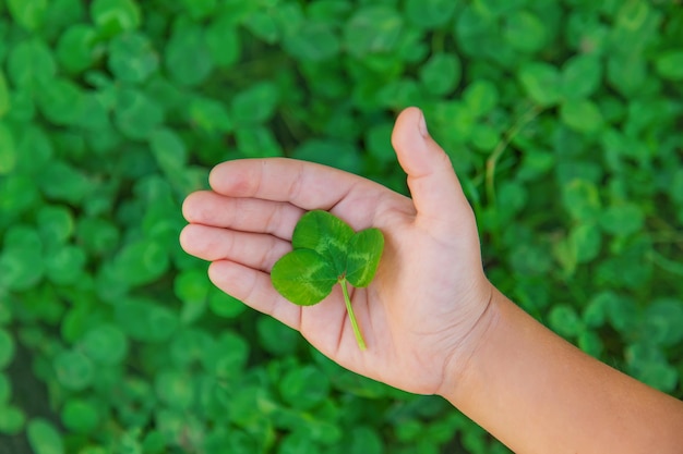 L'enfant tient un trèfle dans ses mains StPatrick s Day Selective focus Nature