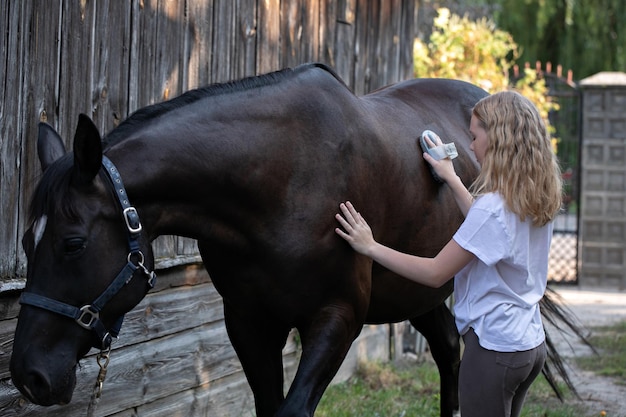 Enfant toilettant le cheval avec une brosse Fille nettoyant et prenant soin du cheval