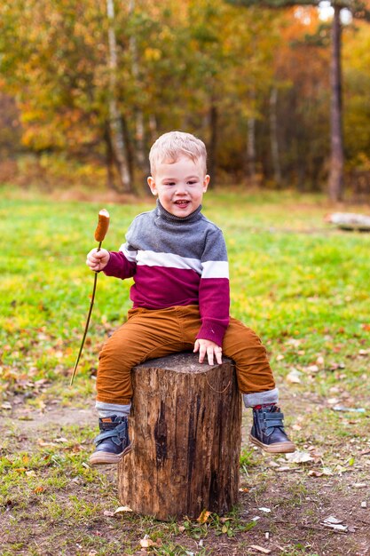 enfants dans la forêt d'automne sur un pique-nique grill saucisses et jouer de la guitare