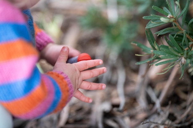 les enfants découvrent la nature à l'extérieur