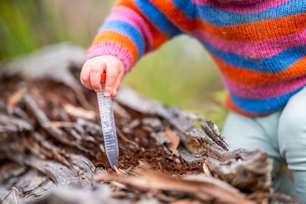 les enfants découvrent la nature à l'extérieur