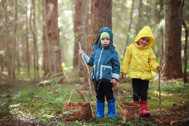 Les enfants du village se promènent dans la forêt d'automne et ramassent des champignons. Les enfants dans la nature marchent dans la nature. Balade champêtre en automne.