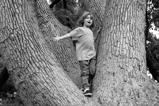 Enfants enfant jouant à grimper à un arbre dans un parc en plein air