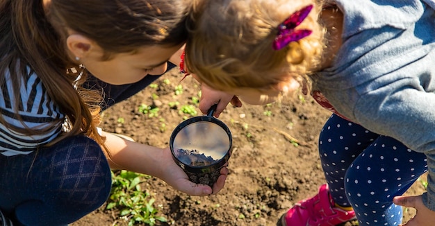 Les enfants examinent le sol avec une loupe Mise au point sélective