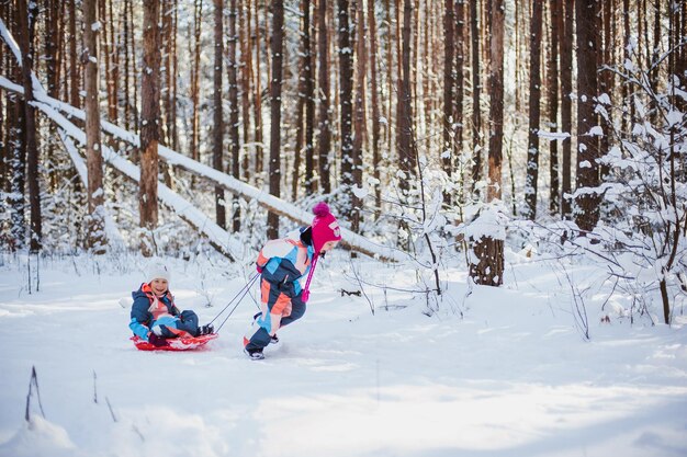 Enfants faisant de la luge dans la forêt d'hiver