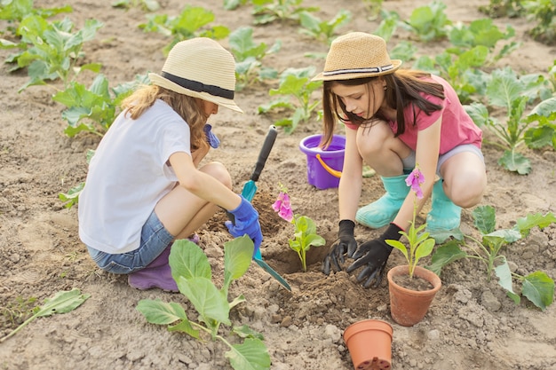 Enfants Avec Des Fleurs Dans Des Pots, Des Gants Avec Des Outils De Jardin