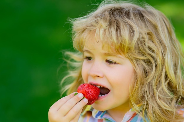 Les enfants en gros plan font face à la fraise dans la bouche l'enfant mange des baies de fraise en été l'enfant cueille