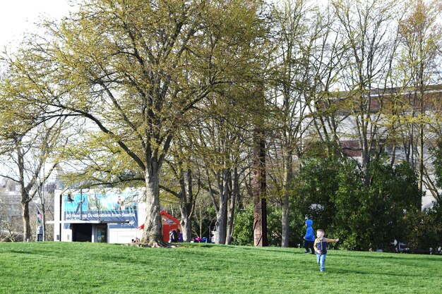 Photo des enfants jouant sur le paysage herbeux