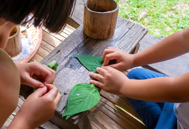 Photo des enfants jouent à la cuisine avec des feuilles à la maison.