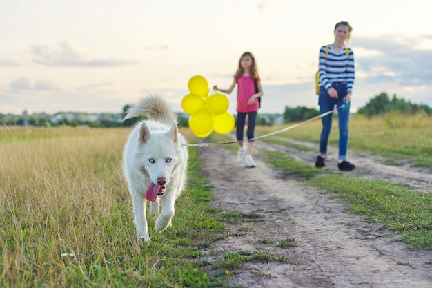 Enfants marchant avec un chien dans la nature, filles avec animal de compagnie sur une route de campagne aux beaux jours d'été, enfant avec des ballons jaunes