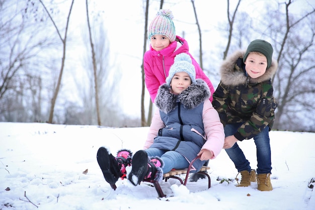 Enfants mignons faisant de la luge dans un parc enneigé en vacances d'hiver