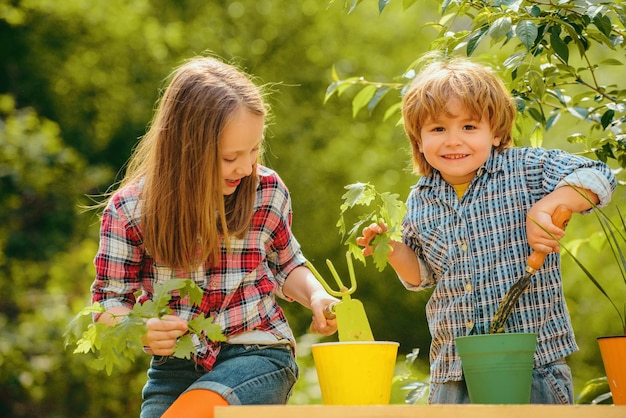 Enfants plantant des fleurs dans un pot enfants heureux sur le terrain d'été enfants et légumes à la ferme mignon allumé