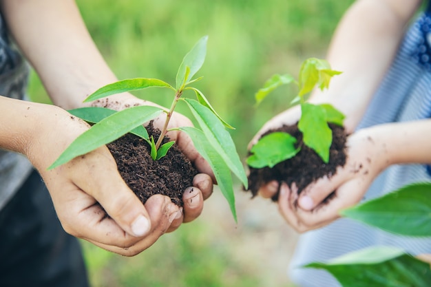 Les enfants plantent des plantes ensemble dans leurs mains.