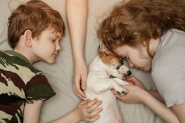 Les enfants pondent et étreignent un chiot Jack Russell Terrier.