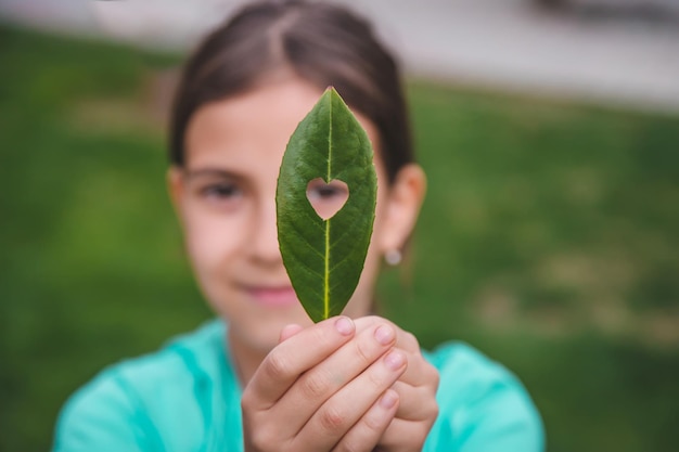 Les enfants prennent soin de l'arbre de la nature dans leurs mains Mise au point sélective