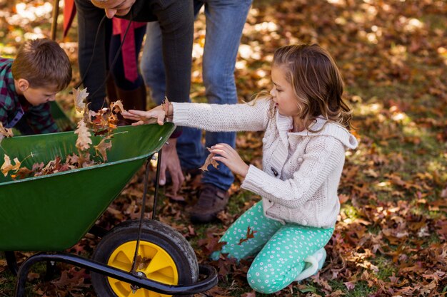 Enfants, ramasser, feuilles automne, à, parents