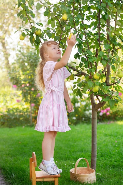 les enfants récoltent des fruits dans le jardin