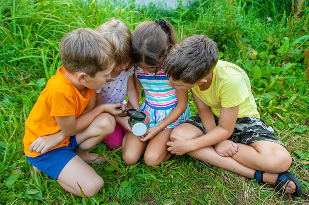 Les enfants regardent une loupe sur la nature. Mise au point sélective. La nature.