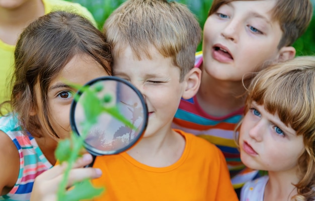 Photo les enfants regardent une loupe sur la nature. mise au point sélective. la nature.