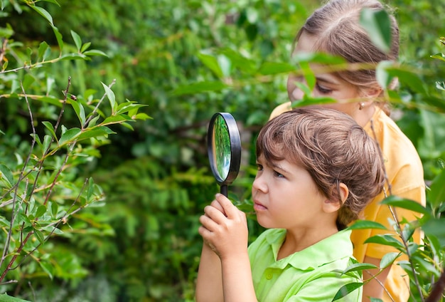 les enfants regardent les plantes à travers une loupe à l'extérieur