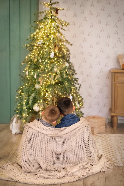 Les enfants sont assis enveloppés dans une couverture devant le sapin de Noël