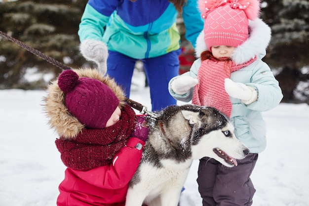 Les enfants sortent et jouent avec un chien husky en hiver