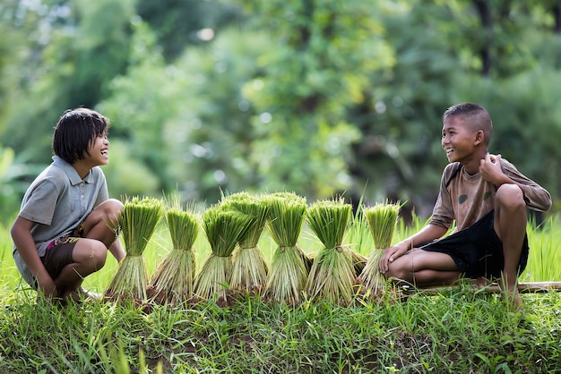 Les enfants sourient alors qu'ils se reposent à côté des pousses de riz.