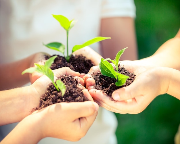 Enfants tenant une jeune plante dans les mains sur fond vert printemps Concept d'écologie Jour de la Terre