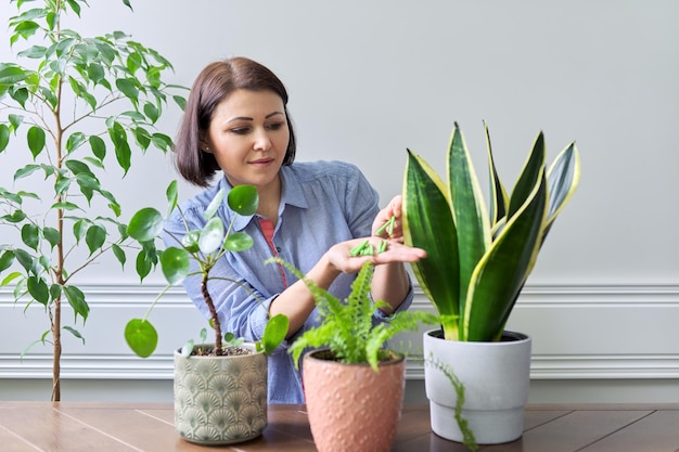 Engrais minéraux sous forme de bâtonnets Fertilisation femelle de plantes d'intérieur en pot