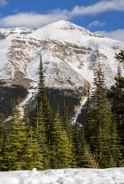 Enneigées des montagnes Rocheuses canadiennes au parc national Banff en Alberta, Canada