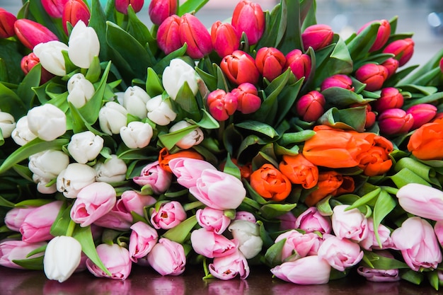 Un énorme bouquet multicolore de tulipes était posé sur la table. Un fond clair de fleurs de printemps. Floristique et préparation des vacances. Concept de design floral