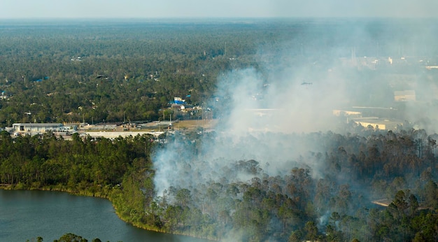 Un énorme feu de forêt brûle sévèrement dans la jungle de Floride Des flammes chaudes dans la forêt Une fumée épaisse s'élève