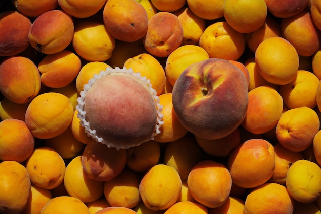 Énorme pêche parmi les abricots jaunes mûrs vue de dessus en gros plan