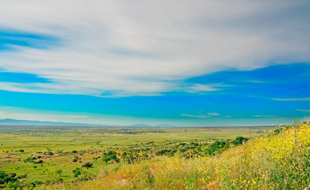 D'énormes nuages sur un champ vert en Sardaigne