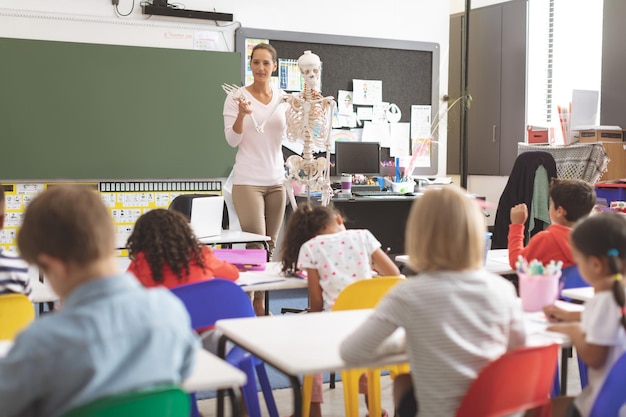 Enseignant expliquant aux écoliers le corps humain grâce à un squelette humain factice