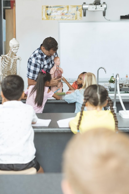 Enseignant tenant un squelette factice pendant qu'une écolière touchait ses poumons