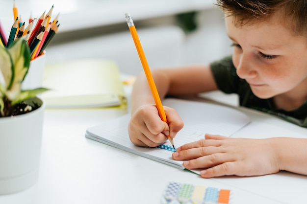 Enseignement à distance éducation en ligne sourire caucasien enfant garçon étudiant à la maison avec un livre écrit en